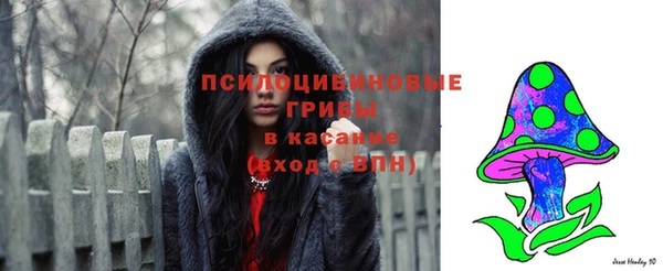 мяу мяу мука Пересвет