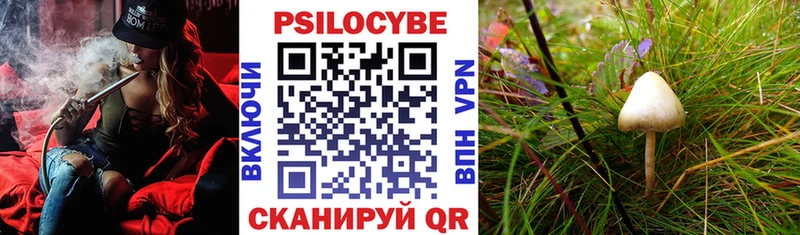 Галлюциногенные грибы ЛСД  Купить  Чапаевск 